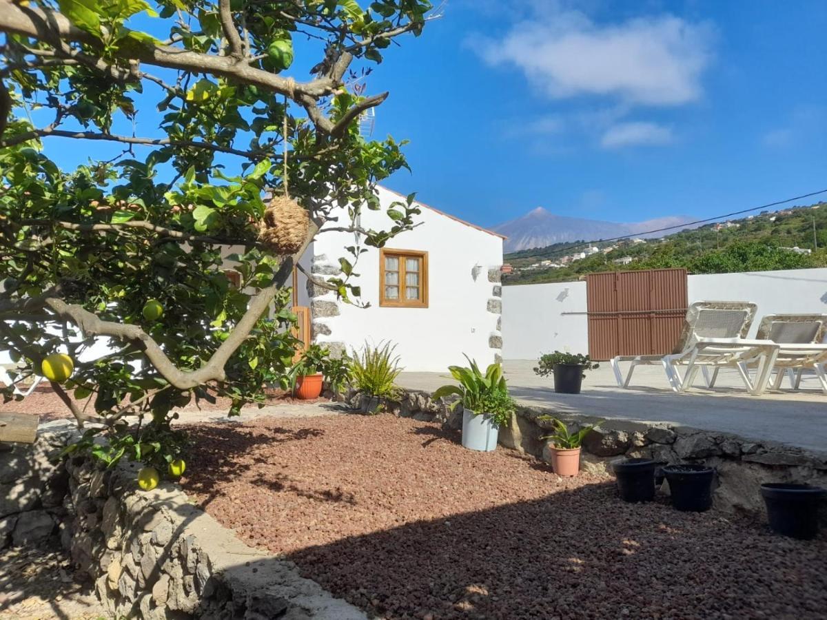 La Casa Del Bisa Genovés Exterior foto