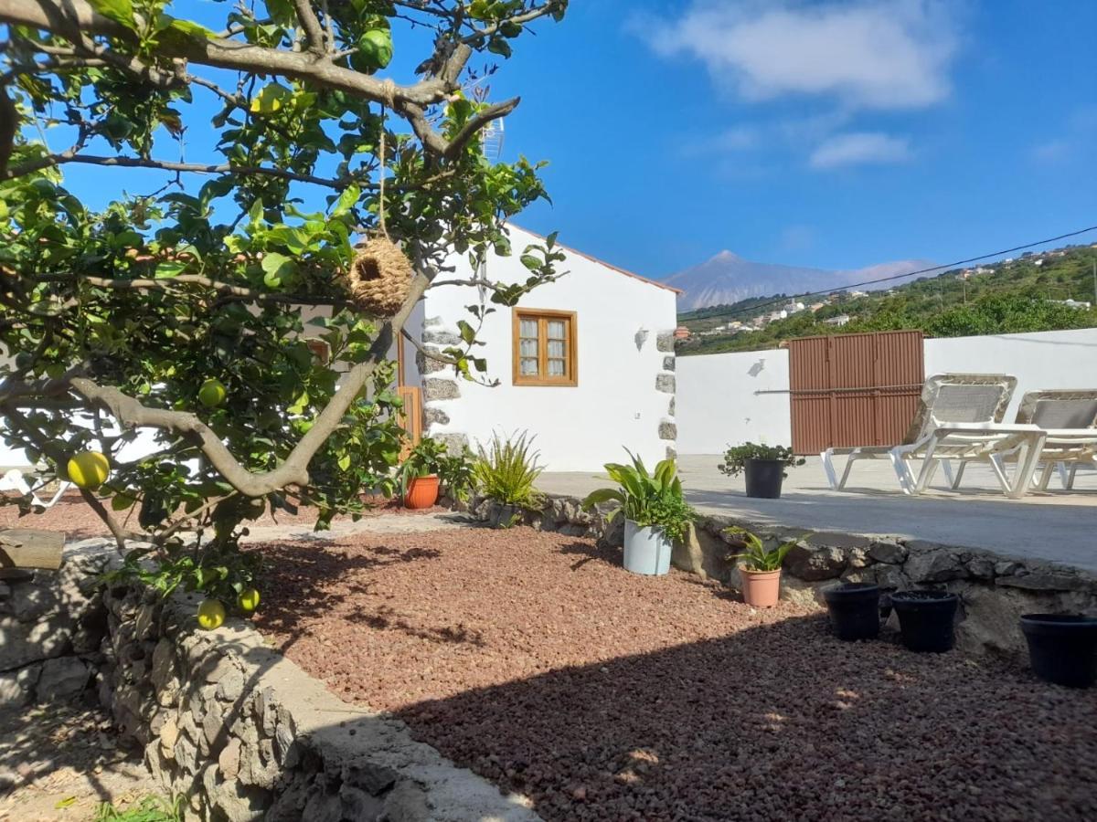 La Casa Del Bisa Genovés Exterior foto